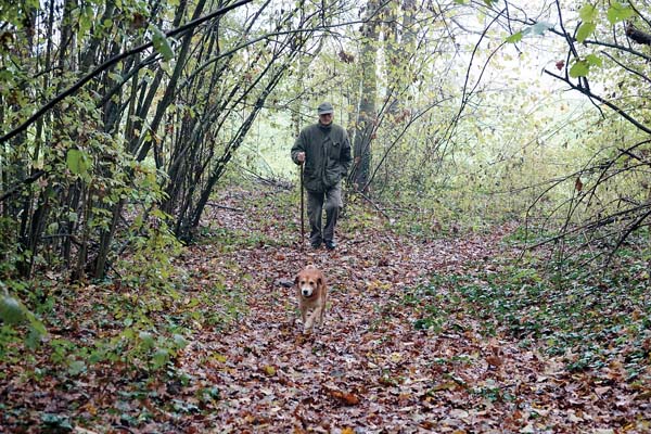 Italy’s white truffle hunters are worried about climate change